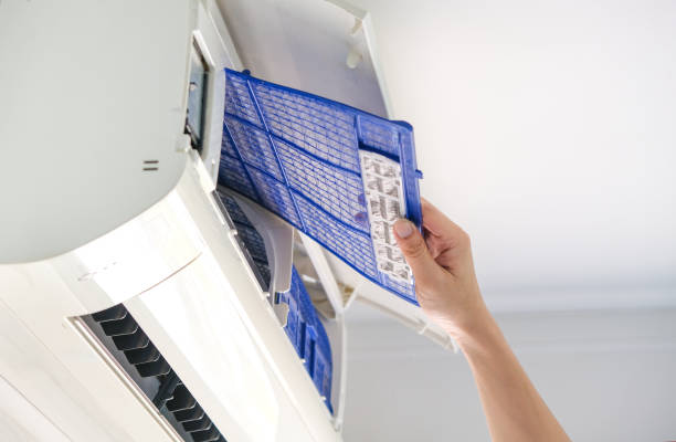 Best Local Air Duct Cleaning Services  in Livingston, LA